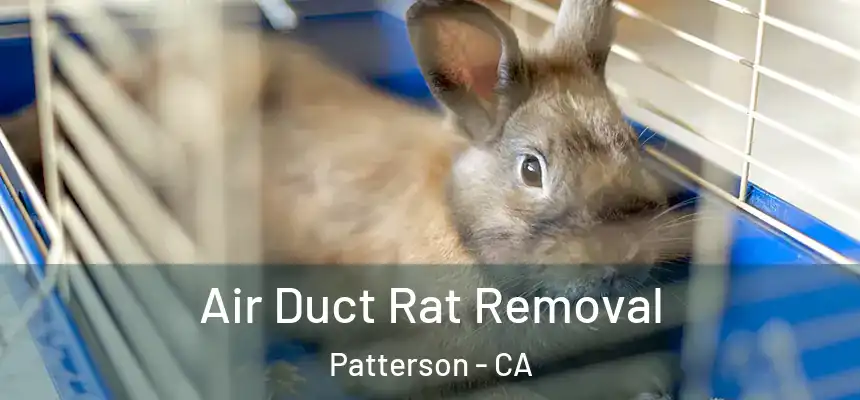 Air Duct Rat Removal Patterson - CA