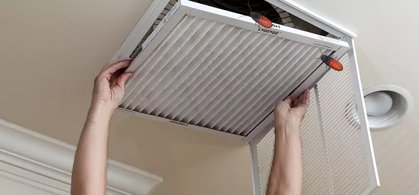 Preventive Cockroach-Proofing for Ducts in Patterson