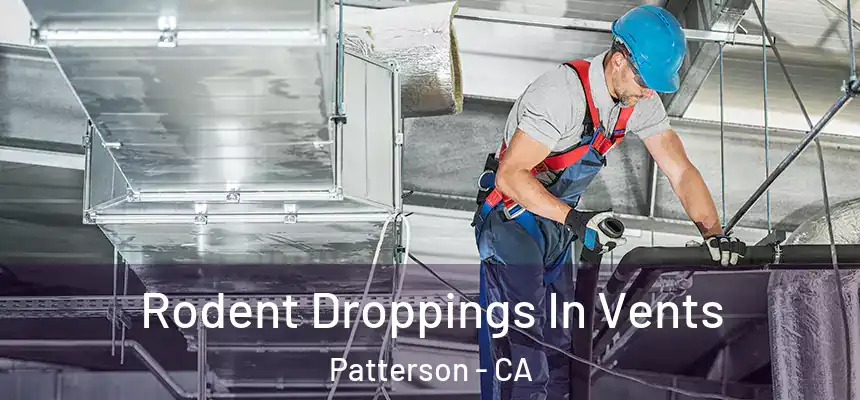 Rodent Droppings In Vents Patterson - CA