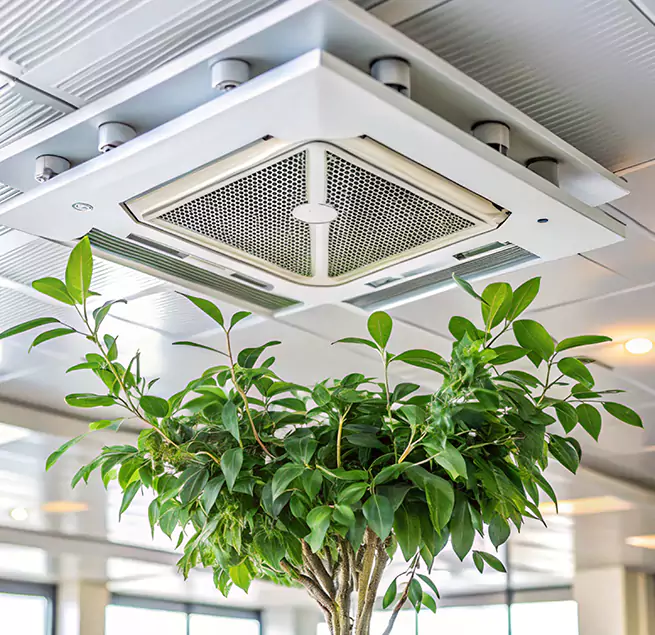 Why Homeowners & Businesses Trust Us in Patterson, CA?