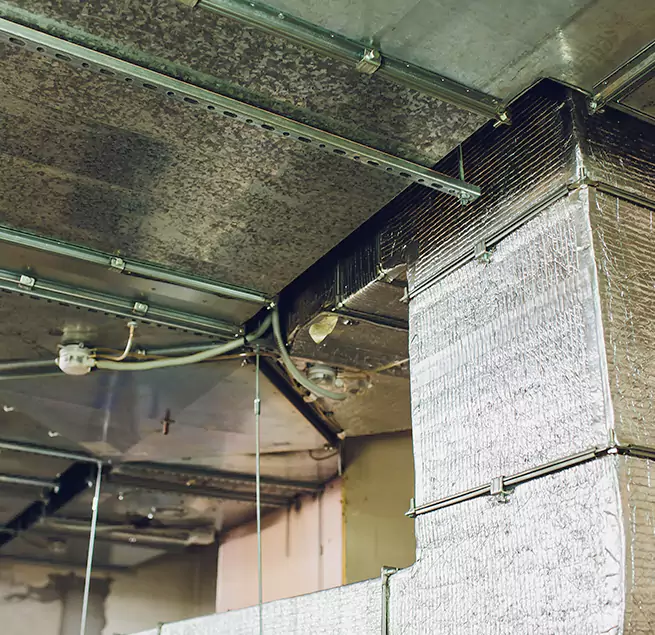 Why Homeowners & Businesses Trust Us in Patterson, CA?